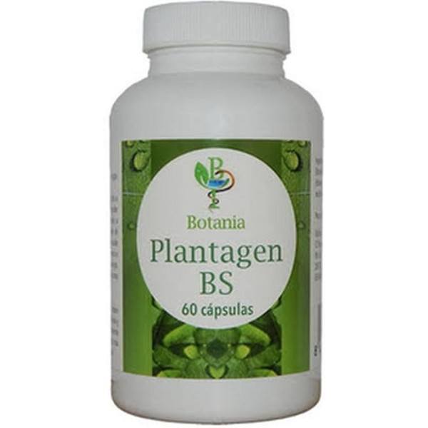 Botania Plantagen Bs 60 Caps Boswellia