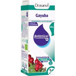 Drasanvi Glicerinado de Gayuba 50 ml Drasanvi Glicerinado de Gayuba 50 ml