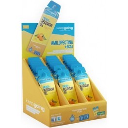 Keepgoing Energy & Recovery Gel 24 geles x 32 gr Keepgoing Energy & Recovery Gel 24 geles x 32 gr