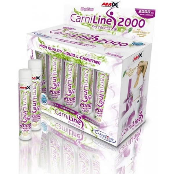 Amix CarniLine Pro Fitness 2000 10 Fläschchen x 25 ml