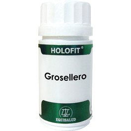 Equisalud Holofit Grosellero 600 Mg 60 Caps