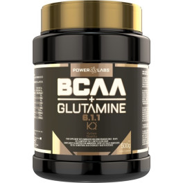 Powerlabs Bcaa 6.1.1 + Glutamine 500 G