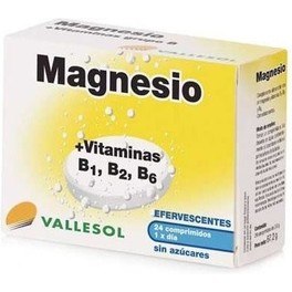 Vallesol Magnesio + Vitaminas B1, B2, B6 - 24 comp