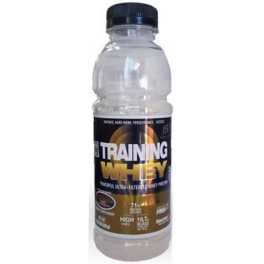 Iron Supplements Training Whey 50 gr Iron Supplements Training Whey 50 gr