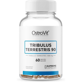 Ostrovit Tribulus Terrestris 90 - 60comp