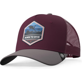 The Indian Face Gorra - Born To Dive Red / Grey