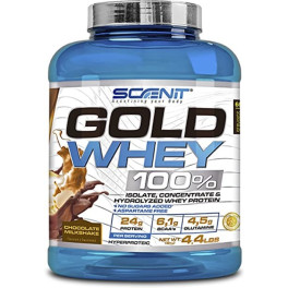 Scenit Gold Whey 100% - 100% Whey Protein. Proteinas Whey Para El Desarrollo Muscular - Proteinas Para Masa Muscular Con Aminoá
