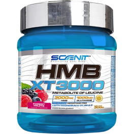 Scenit Hmb Xt 3000 - Hmb 3000 Mg Con Glutamina. Magnesio. Vitamina B6 Y Vitamina D - 300 G - Hmb Anticatabólico - Hmb En Polvo