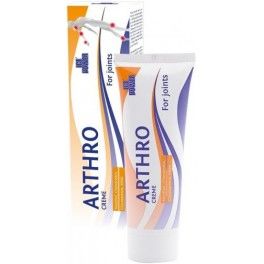 Ice Power Arthro Creme 60 gr Ice Power Arthro Creme 60 gr