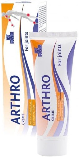 Ice Power Arthro Creme 60 gr Ice Power Arthro Creme 60 gr