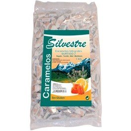 Silvestre Surtido 2 1kg Caramelos Int.