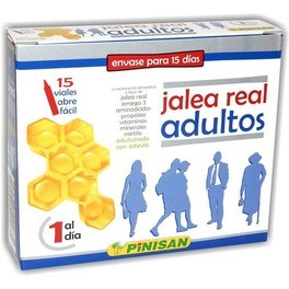 Pinisan Jalea Real Adultos 15 Viales