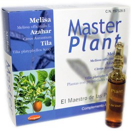 Masterplan Master Plant Melisa Tila Y Azahar 10 Amp