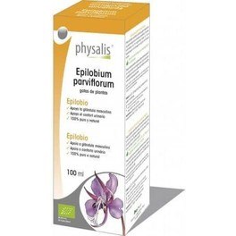 Physalis Epilobium Parviflorum 100 Ml