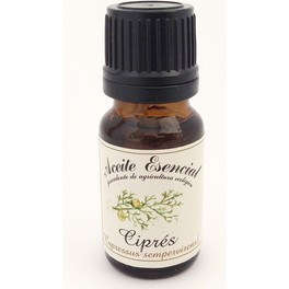 Labiatae Aceite Esencial Cipres (Cupressus Sempervirens) 12