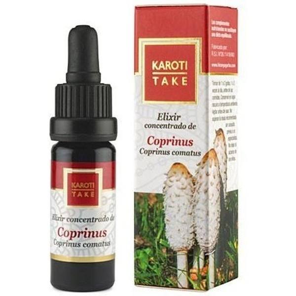 Hiranyagar Karoti Take Elixir Coprinus 10 Ml