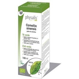 Physalis Camellia Sinensis 100 Ml (Tintura Te Verde )