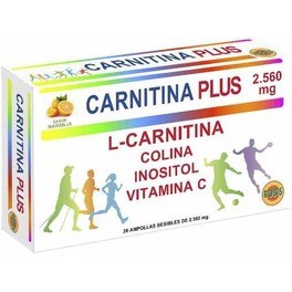 Robis L-carnitina Plus 20 Ampollas