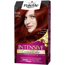 Palette Intensive Tinte 6.88-rojo Rubí Mujer