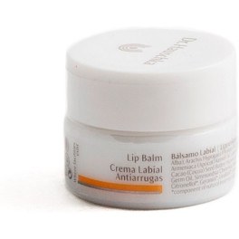 Dr. Hauschka Lip Balm Anti-wrinkles 45 Ml Unisex
